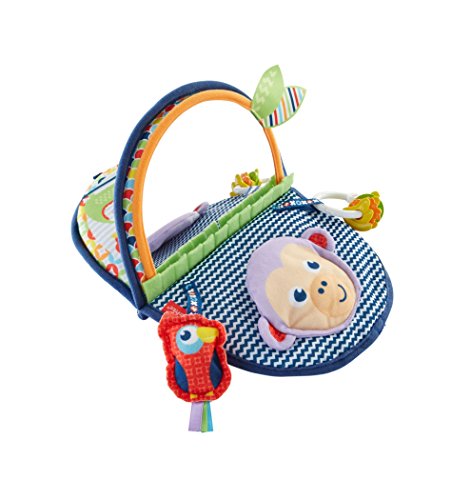 Fisher-Price DYC85 – Äffchen Spiegel, Babyspielzeug und Motorikspielzeug für die Bauchlage, zusammenfaltbar, Baby Spielzeug ab Geburt